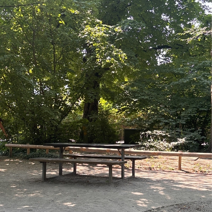 Bild 8: Im Stadtgarten