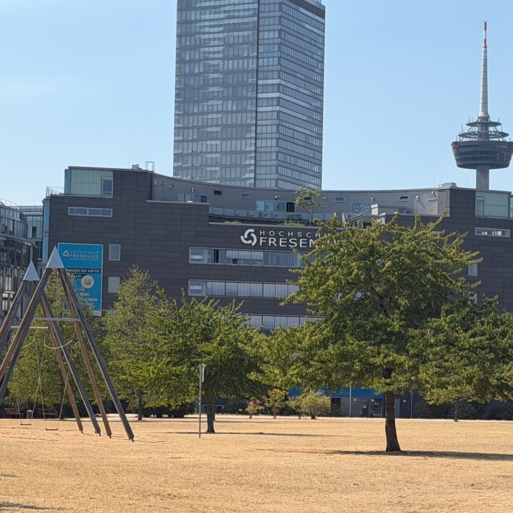 Bild 6: Schaukeln im Mediapark