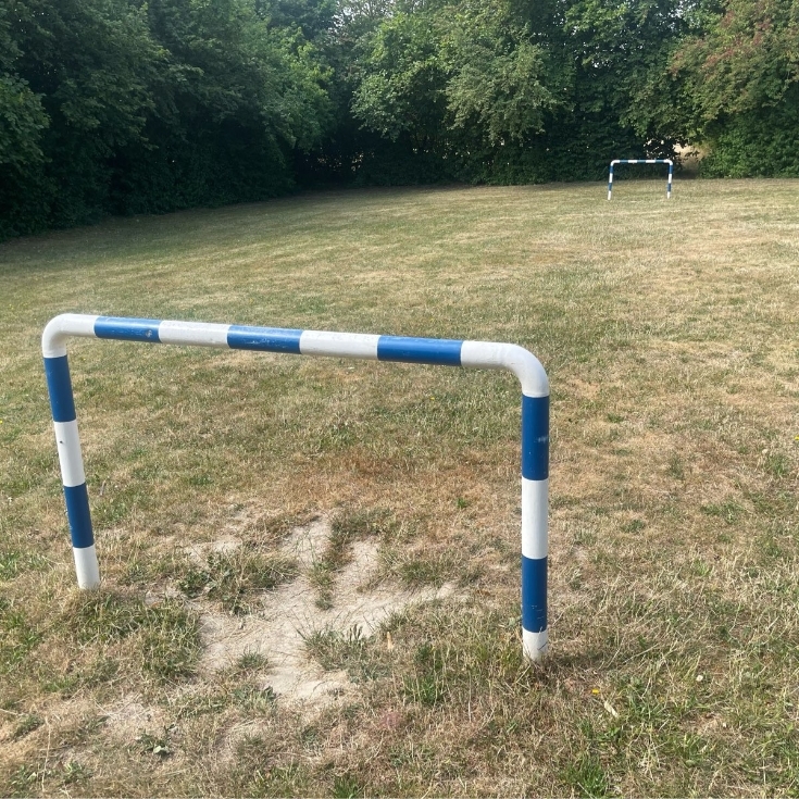 Bild 11: Trollblumenweg