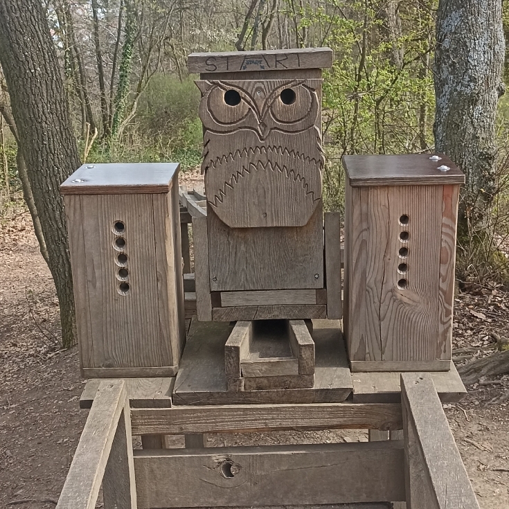 Bild 3: Schillerhöhe