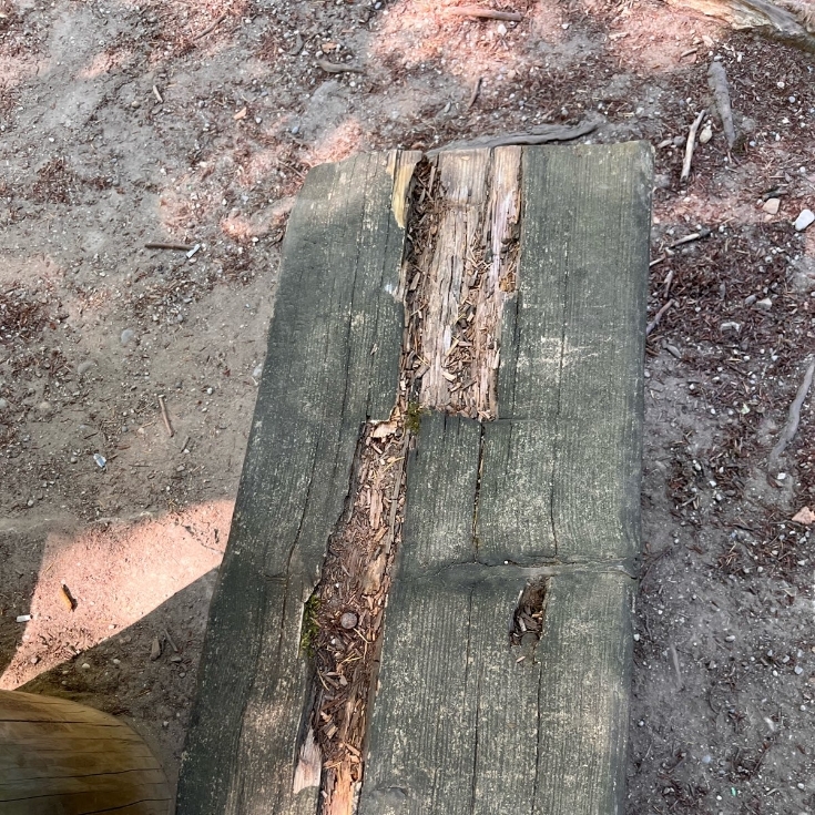 Bild zum Spielplatz Waldspielplatz Pöring