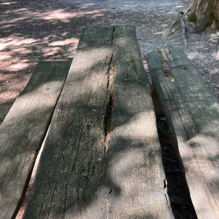 Foto vom Spielplatz Waldspielplatz Pöring