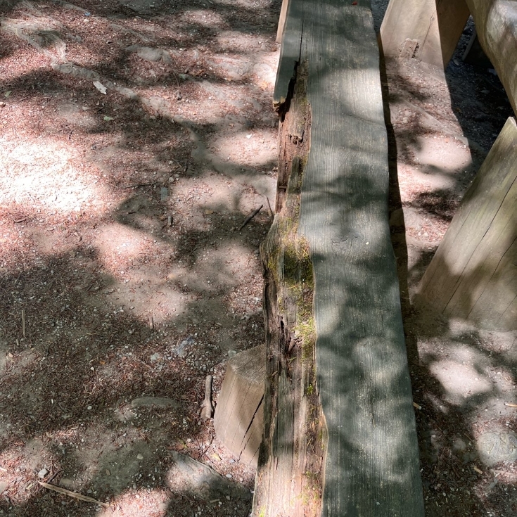 Foto vom Spielplatz Waldspielplatz Pöring
