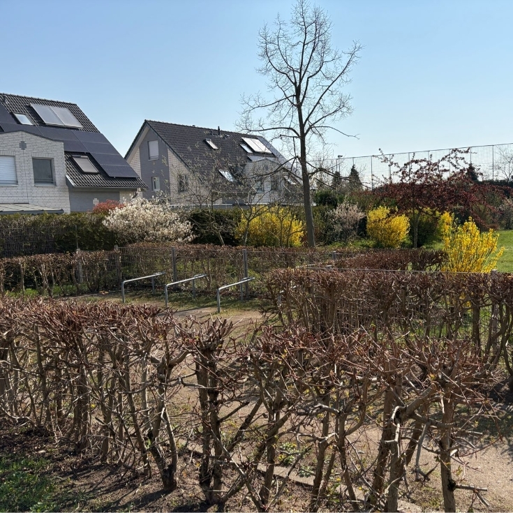 Bild 11: Dorotheenstraße