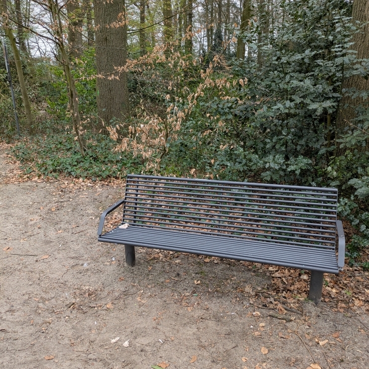 Bild 6: Liobastraße 41