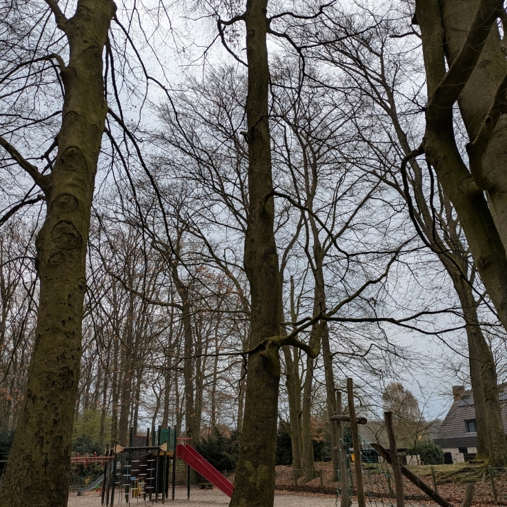 Bild 9: Liobastraße 41