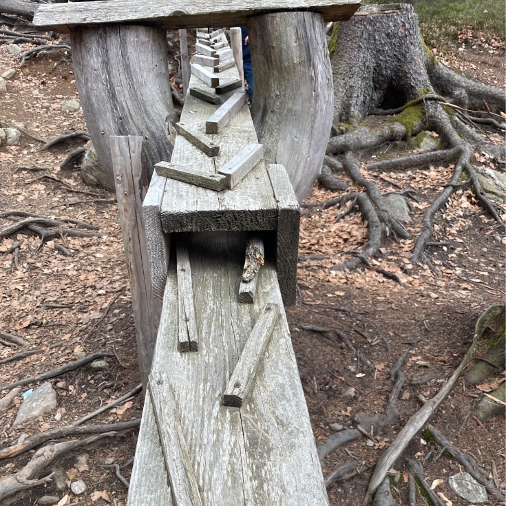 Bild 2: Waldkugelbahn Arbersee