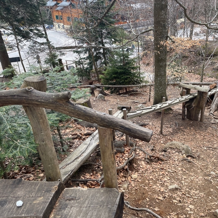 Bild 3: Waldkugelbahn Arbersee