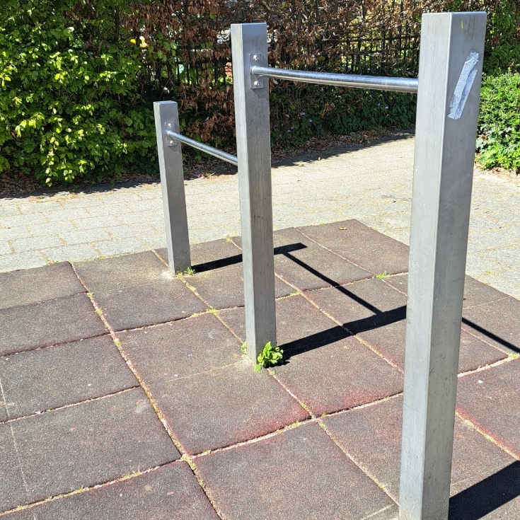 Bild 3: Van Eckstraat 58