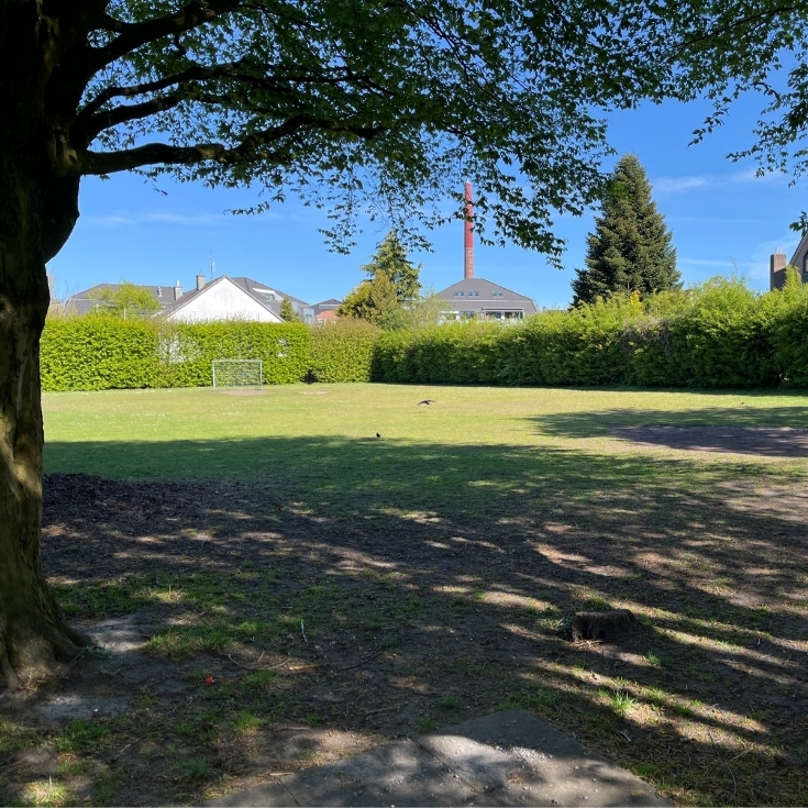 Bild 4: Ollnsstraße