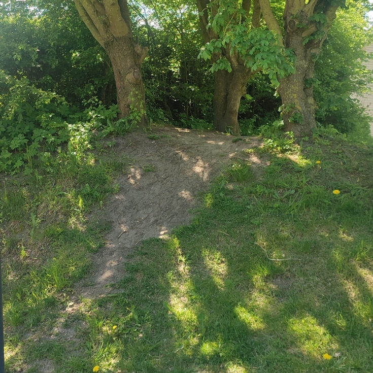 Bild 7: Schlehenweg 