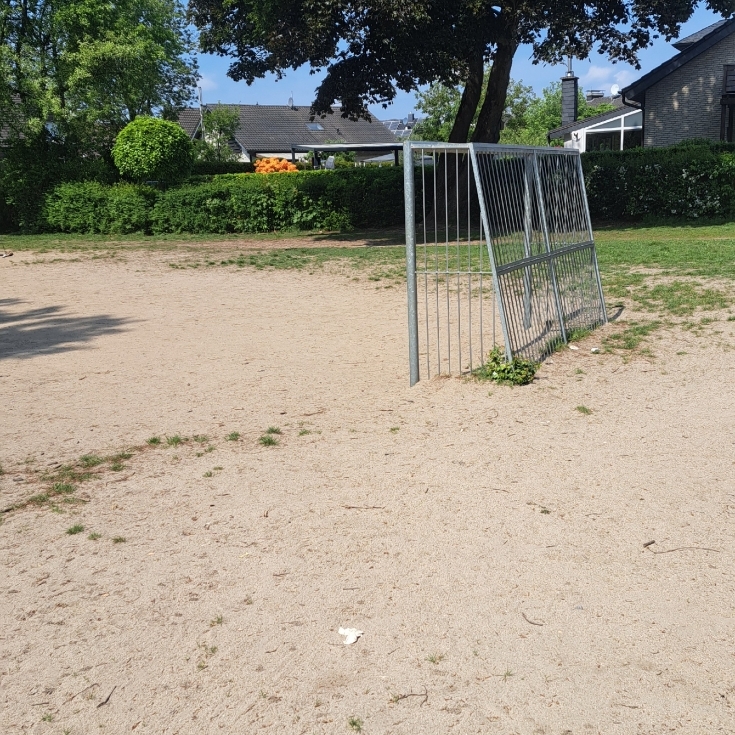 Bild 2: Hustenfeld 2