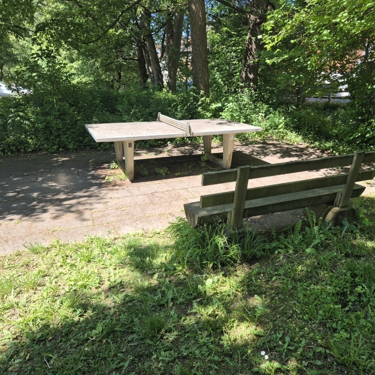 Bild 3: Gänshaldestraße