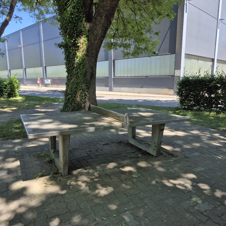 Bild 5: Escher-Wyss-Weg