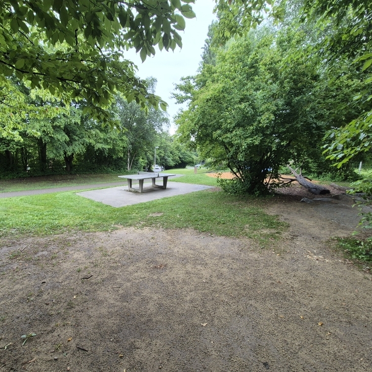 Bild 5: Spielplatz Ludwig-Erlanger-Anlage 