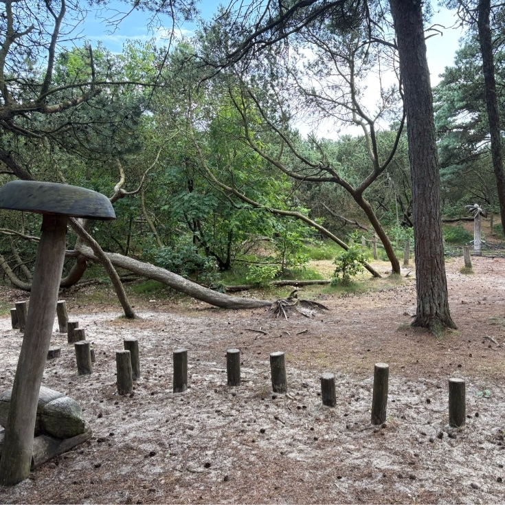 Bild zum Spielplatz Waldspielplatz