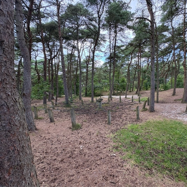 Bild 3: Waldspielplatz