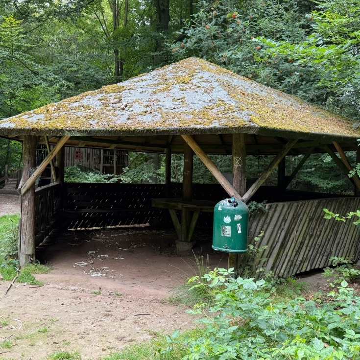 Bild 12: Waldspielplatz Bruchhausen-Vilsen