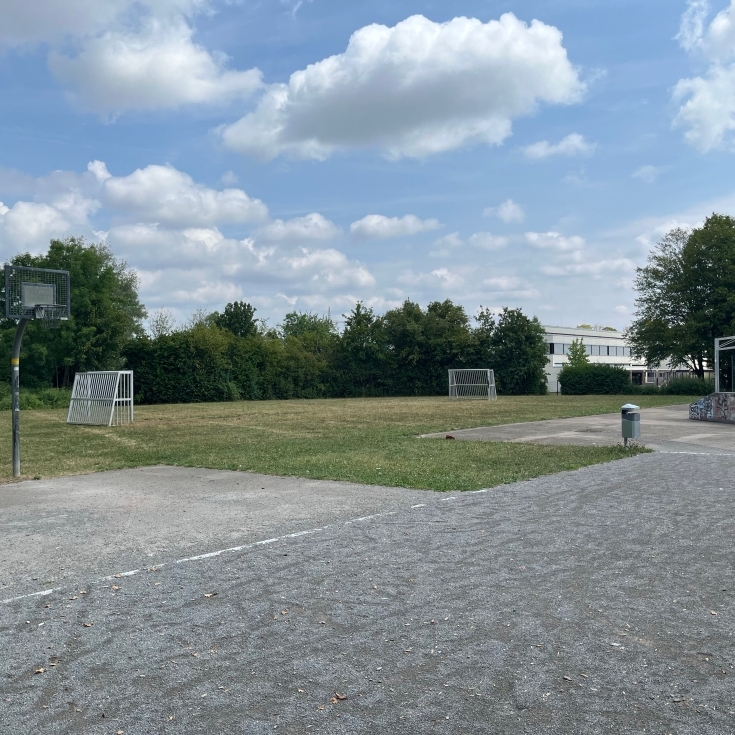 Bild 2: Baumgarten