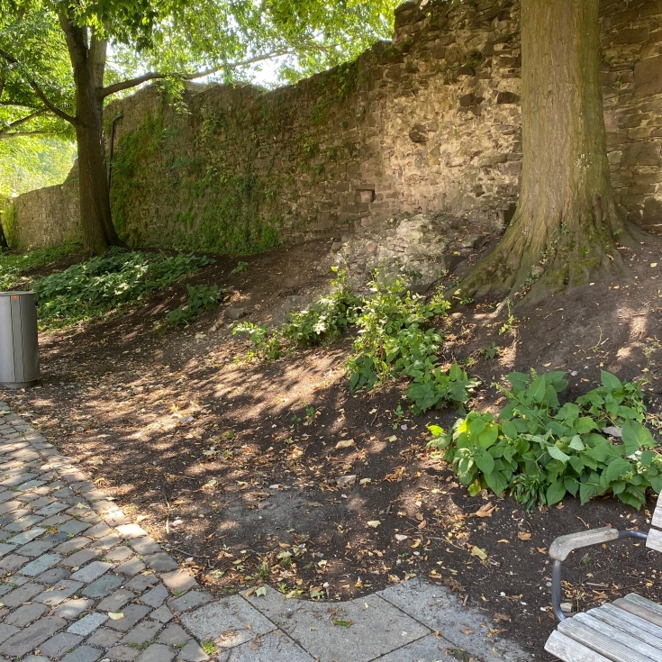 Bild 4: Spielplatz mit dem Maibaum