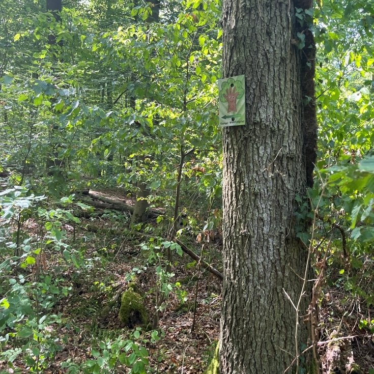 Bild zum Spielplatz Eppinger Waldfühlpfad