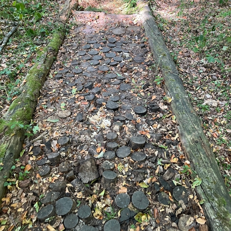 Bild 3: Eppinger Waldfühlpfad
