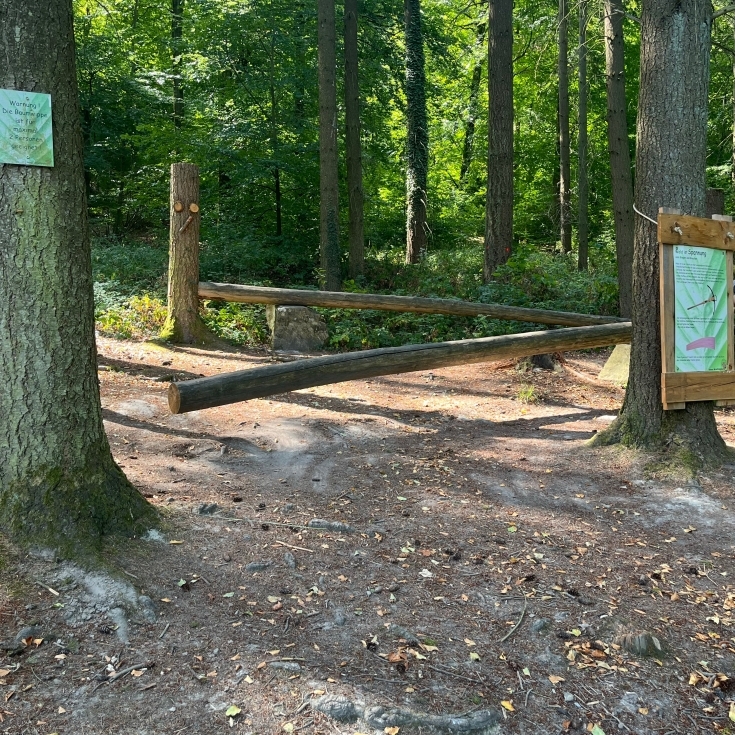 Bild 5: Eppinger Waldfühlpfad