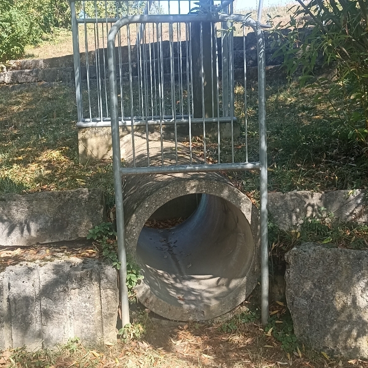Bild 3: Belchenstraße 44