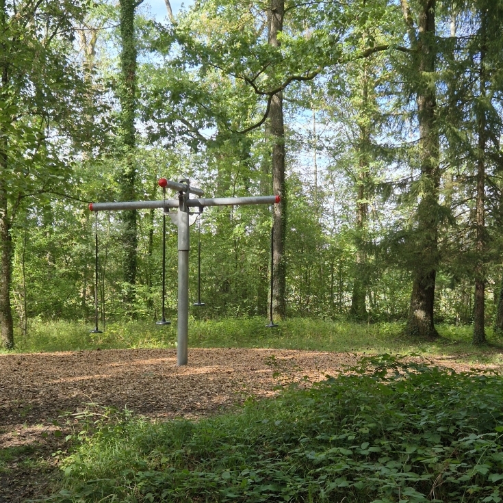 Bild 3: Waldspielplatz Rahlenwald 