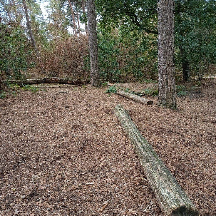 Bild 2: Speelbos De Boskoel Unnamed Road