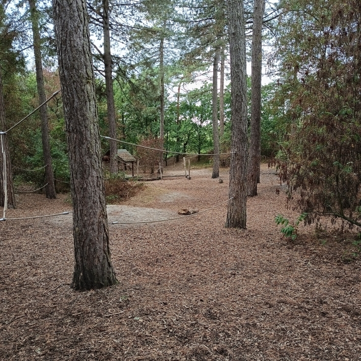 Bild 4: Speelbos De Boskoel Unnamed Road