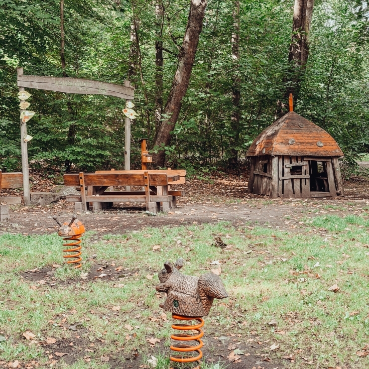 Bild 5: Waldspielplatz im Deister 🌳