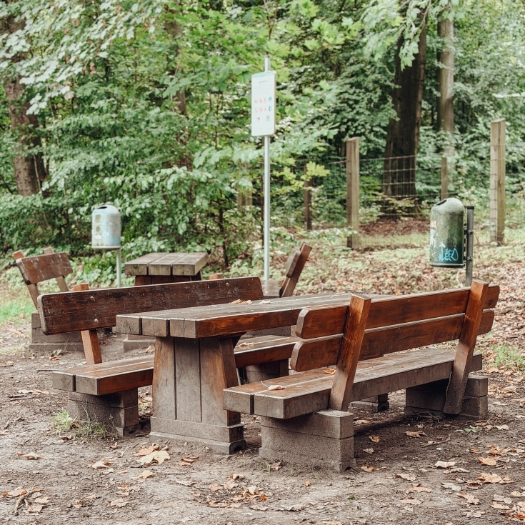 Bild 9: Waldspielplatz im Deister 🌳