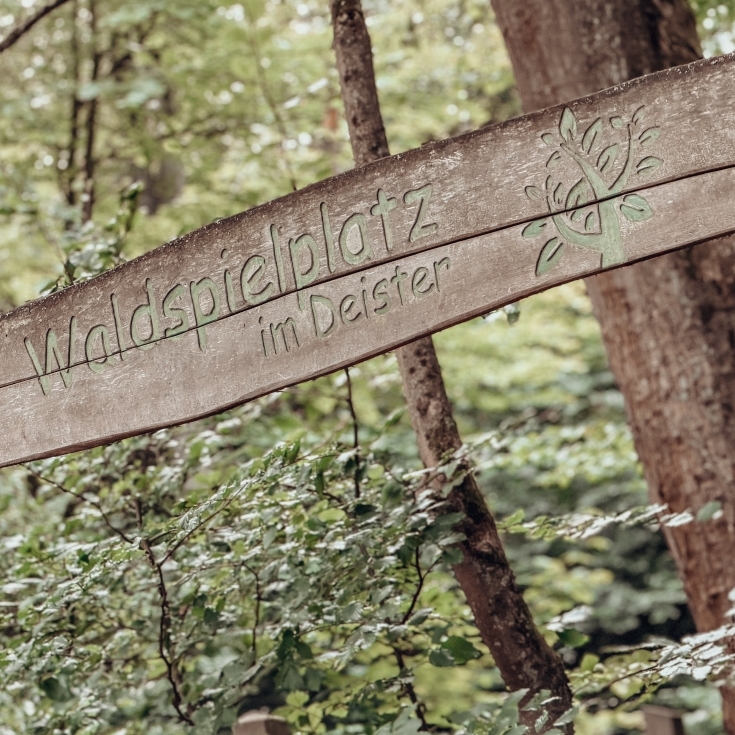 Bild 11: Waldspielplatz im Deister 🌳