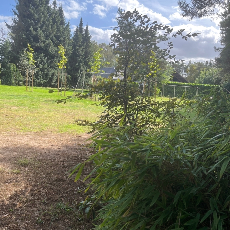 Bild 3: Spielplatz Siedlung