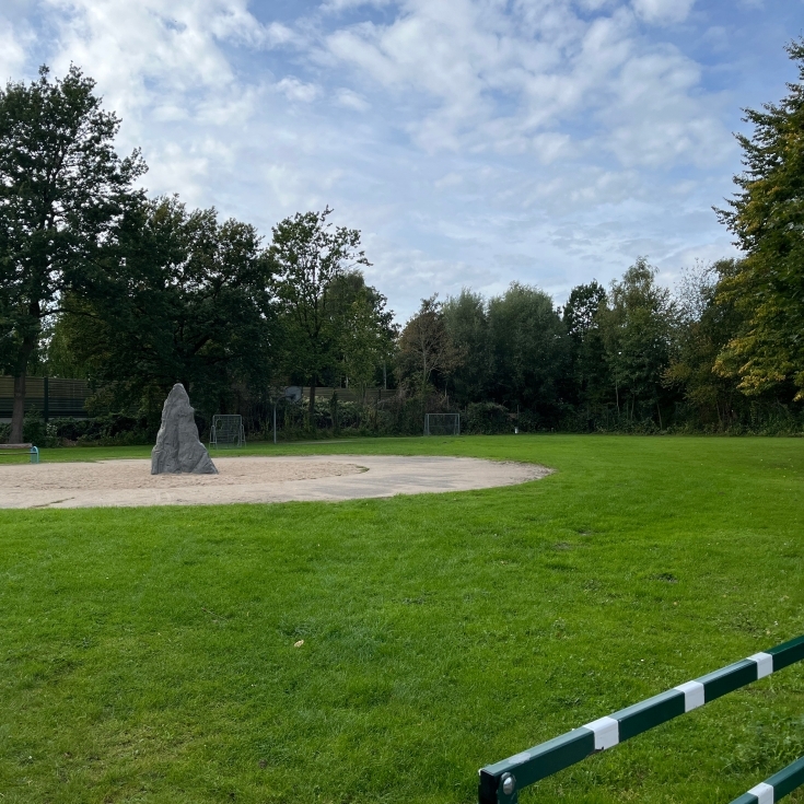 Bild 4: Holunderstraße