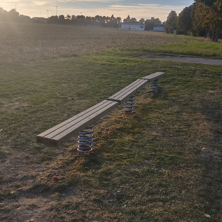 Bild 2: Ahornallee 