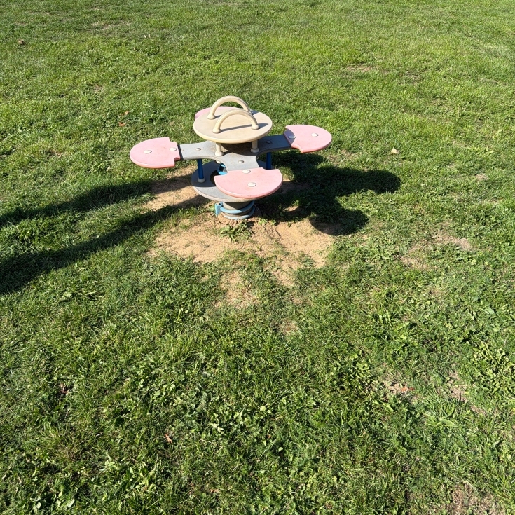 Bild 7: Baumgarten