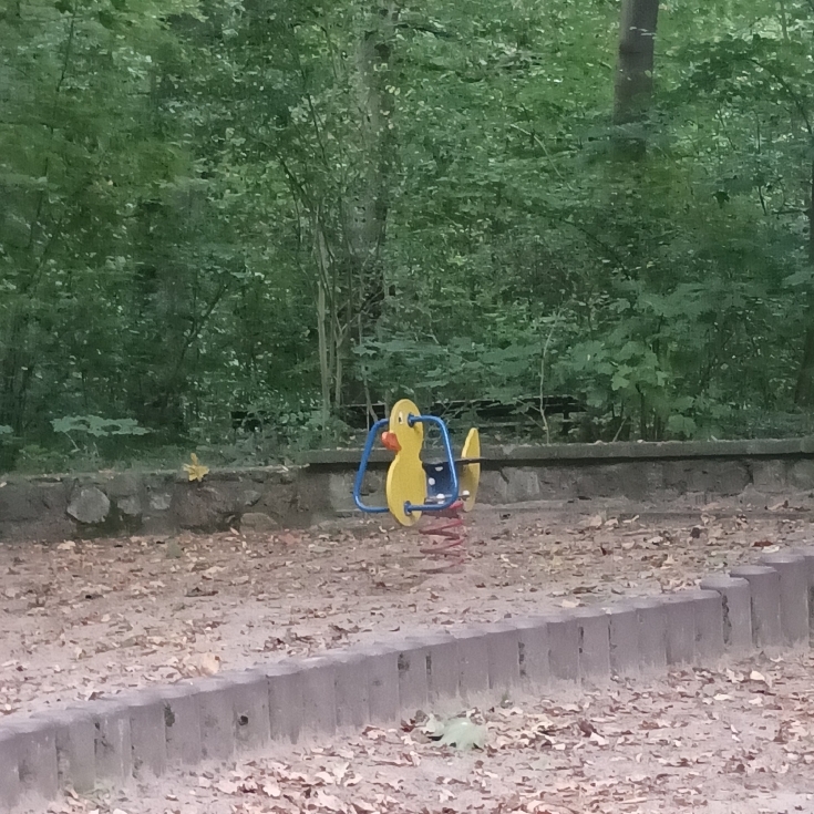 Bild 5: Spielplatz am Zoo 