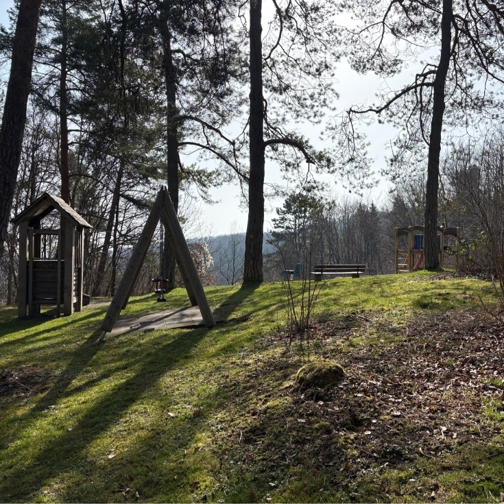 Bild zum Spielplatz Klingenstein 