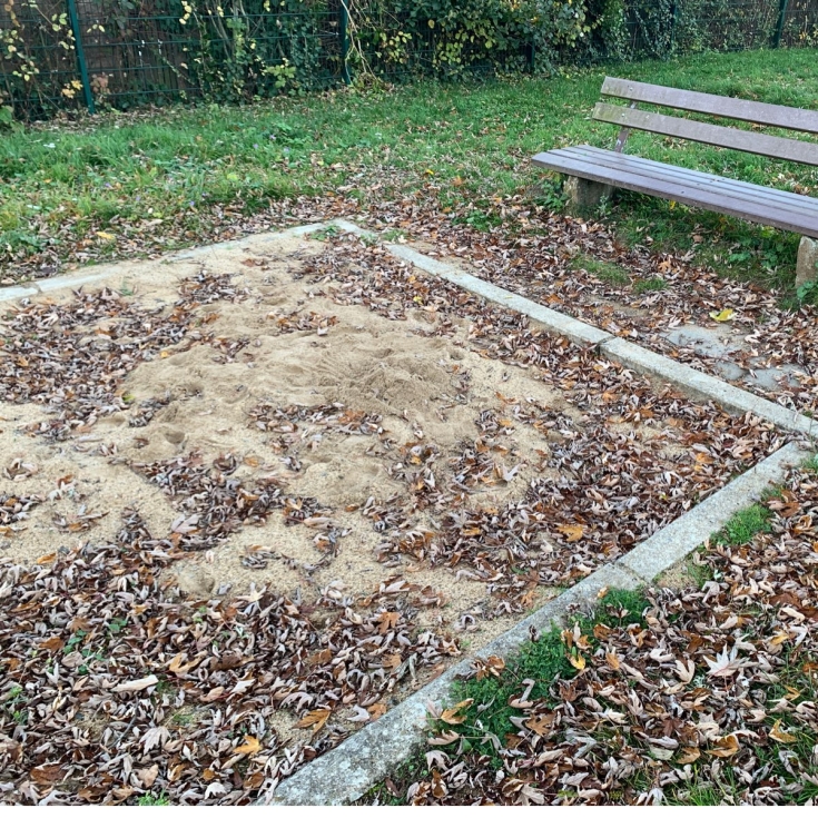 Bild 8: Am Heckenberg