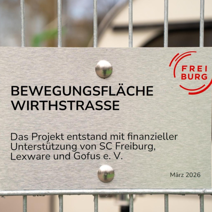 Bild zum Spielplatz Bewegungsfläche Wirthstraße