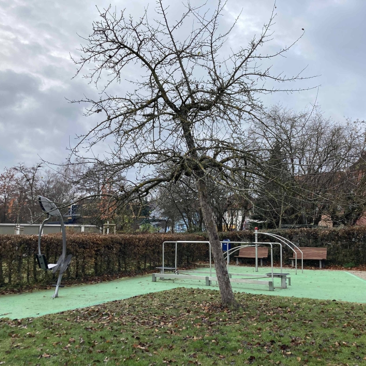 Bild zum Spielplatz Bewegungsparcours im Stadtgarten