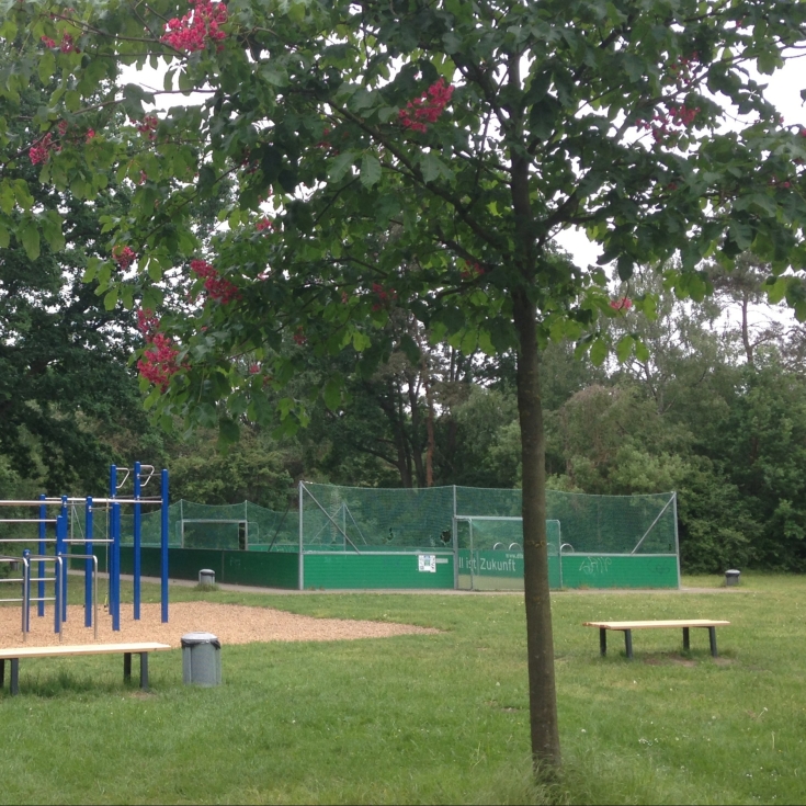 Bild zum Spielplatz Bolzplatz (DFB-Mini-Spielfeld)