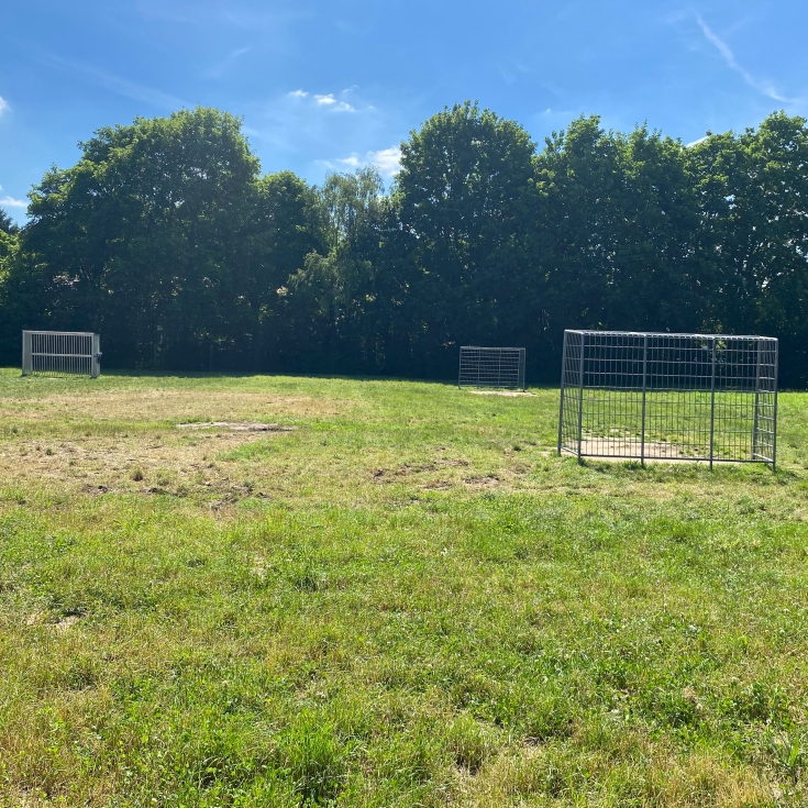 Bild zum Spielplatz Bolzplatz Vogelsangschule