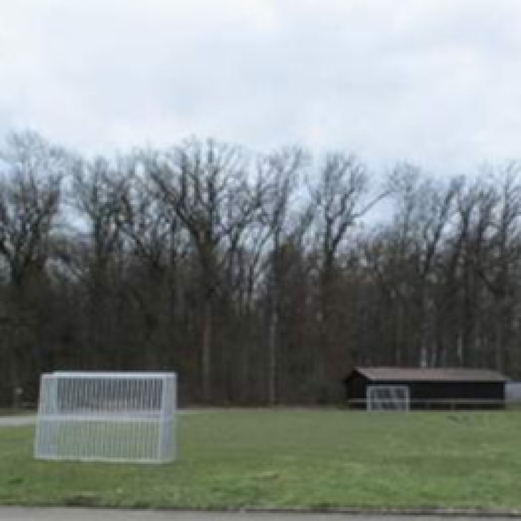 Bild zum Spielplatz Bolzplatz Waldstraße Dgh