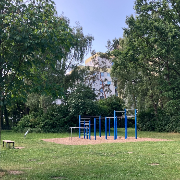 Bild zum Spielplatz Calisthenics-Anlage