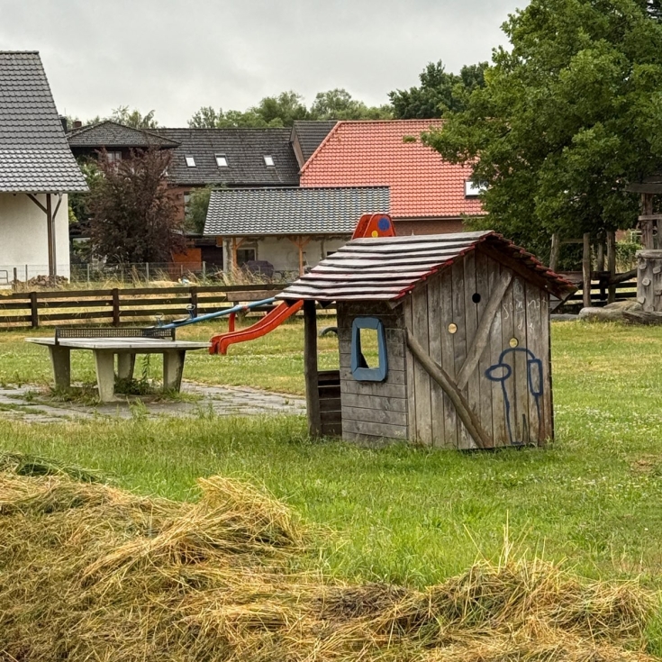 Bild 4: Dammwiese