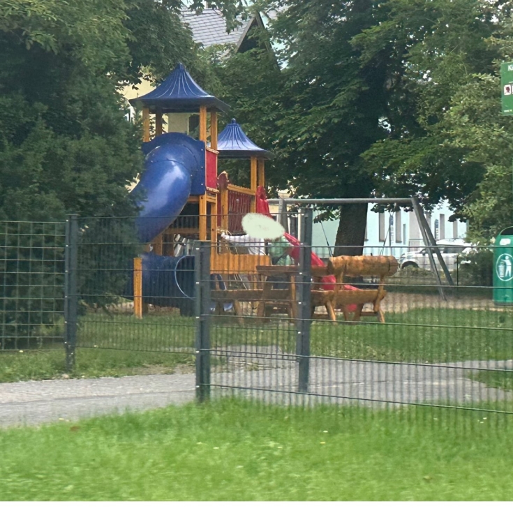 Bild zum Spielplatz Dippoldiswalder Straße