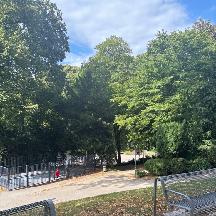 Bild 9: Spielplatz am Haus Hardt